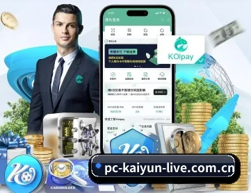 开云官网入口 APP 深度功能